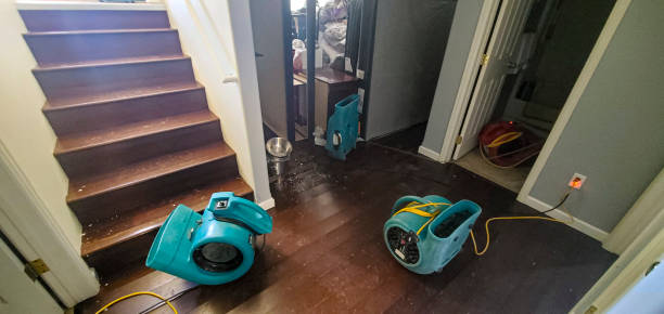 Best Mold removal after water damage  in North Randall, OH