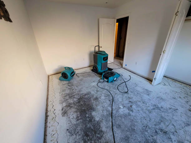 Best Fire Damage Restoration  in North Randall, OH