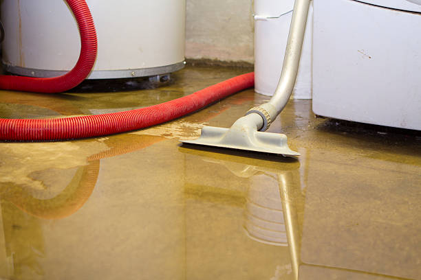 Water damage restoration mold remediation in North Randall, OH