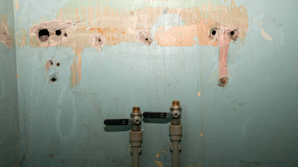 Best Flooded house restoration  in North Randall, OH
